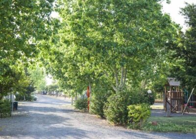 oasi park falconara noto_12